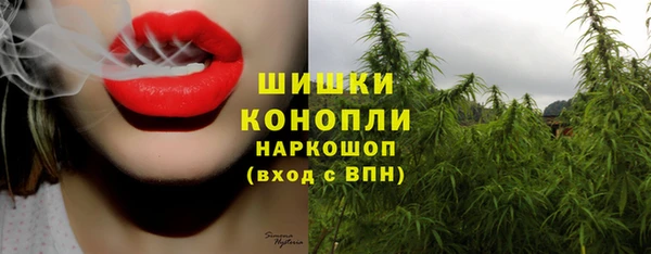 тгк Белокуриха