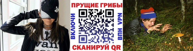 Псилоцибиновые грибы Cubensis  хочу   Чита 